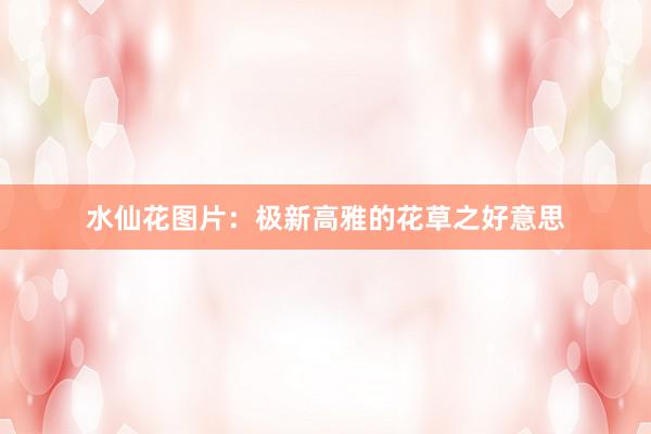 水仙花图片：极新高雅的花草之好意思